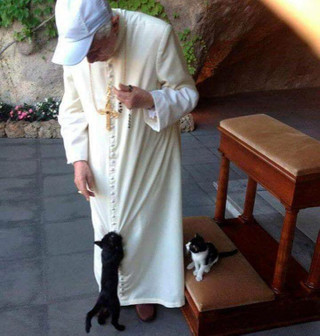 B_xvi_with_cats