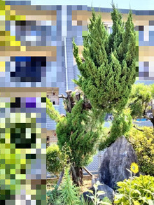 Photokakomosaicib1v4nhbvxq8no2o Photokakomosaicib1v4nhbvxq8no2o