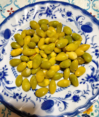 Img20261019190251