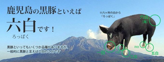 聖母に倣いて 解説が欲しい